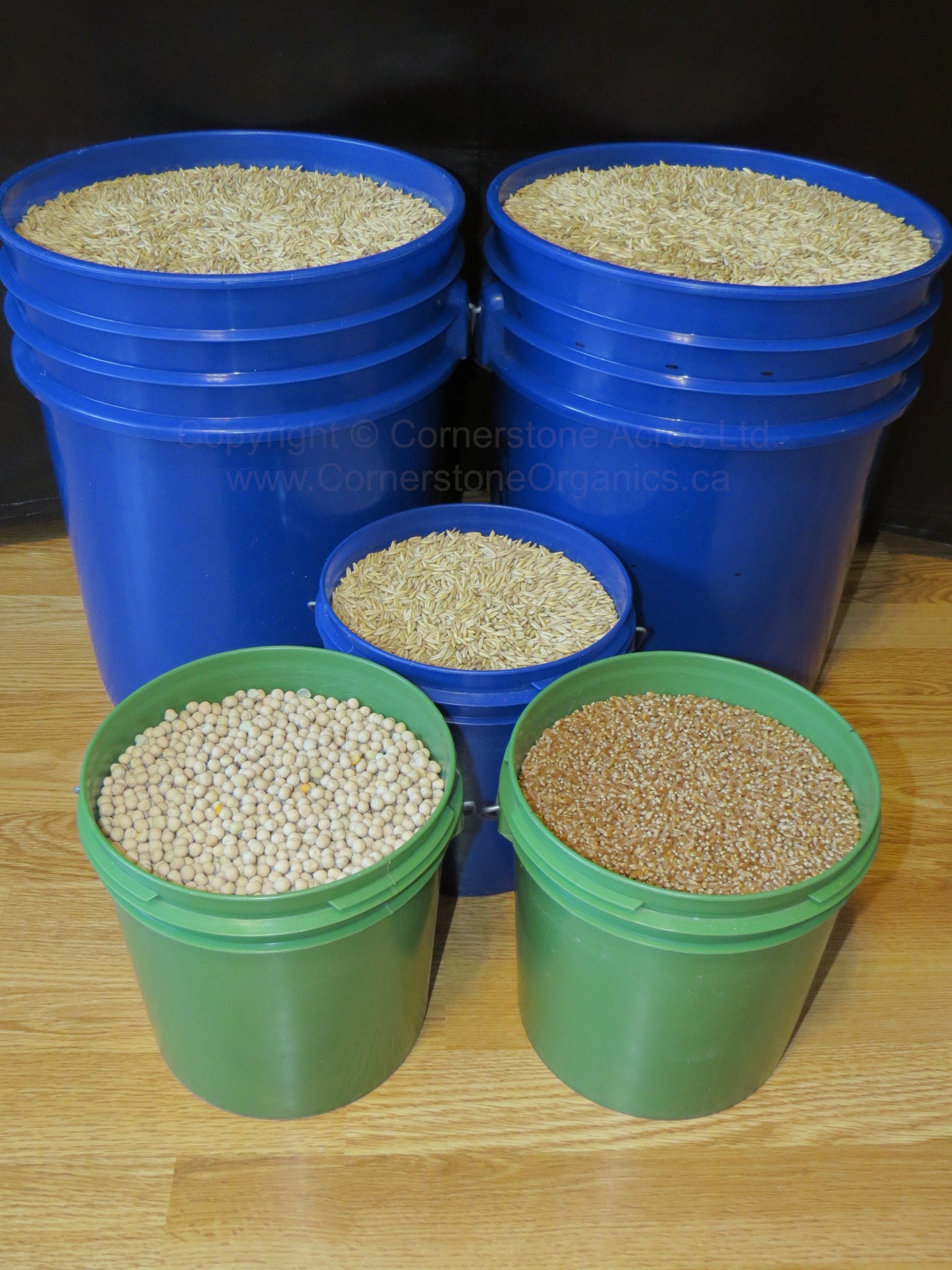 Pails of Oats, Peas, and Wheat